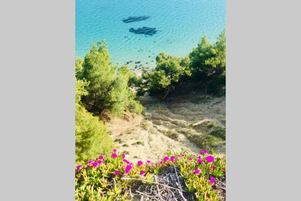 Family Apartment In Greece Kalandra ภายนอก รูปภาพ