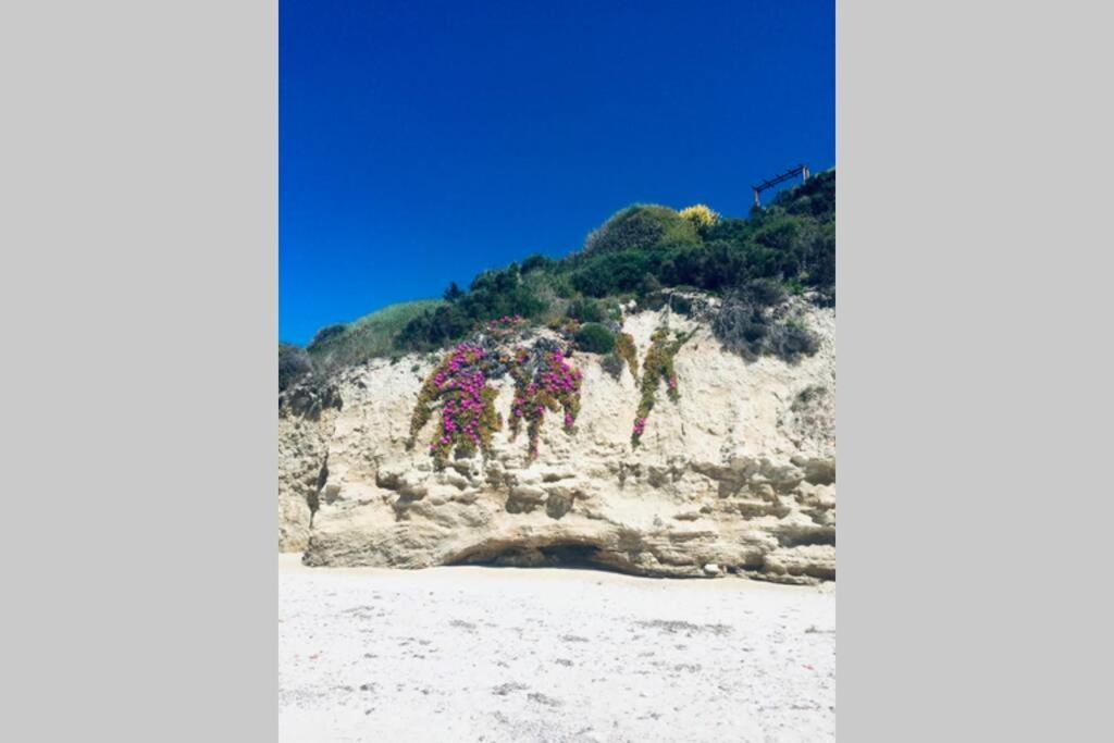 Family Apartment In Greece Kalandra ภายนอก รูปภาพ